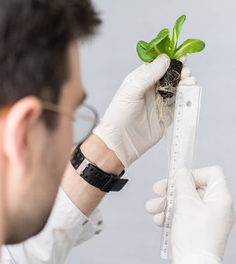 Onderzoeker met vertical farm plant